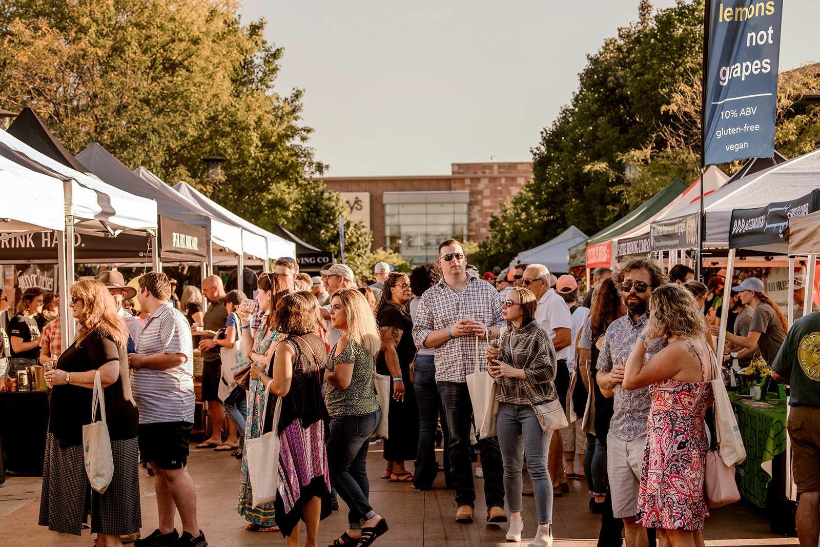 Craft Beer and Wine Festival at The Orchard Town Center banner image