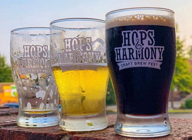 Hops & Harmony Craft Brew Fest banner image