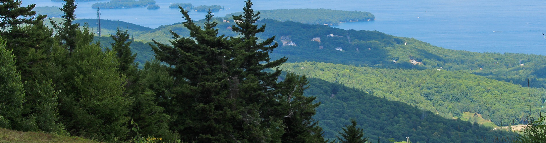 Gunstock Mountain Brew and BBQ banner image