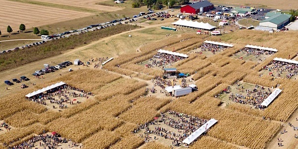 Corn Maze Beer Fest banner image